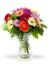 Bouquet di gerbere