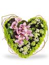 Cuore elegante e delicato